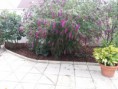 /album/fotogaleria/a20150714-070754-jpg/